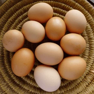 Huevos