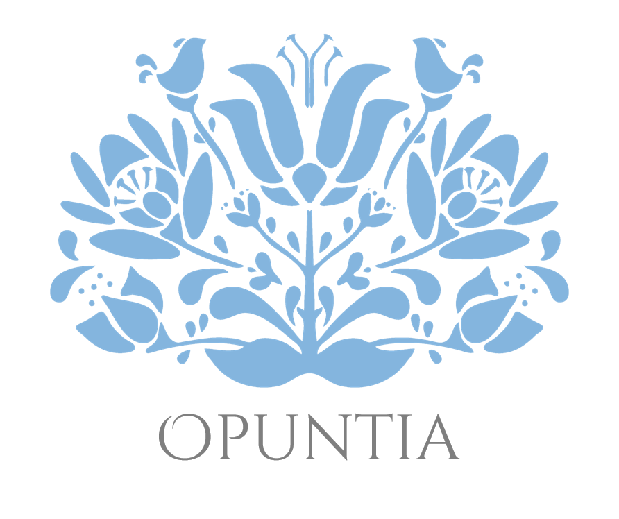 Logo de la Iniciativa
