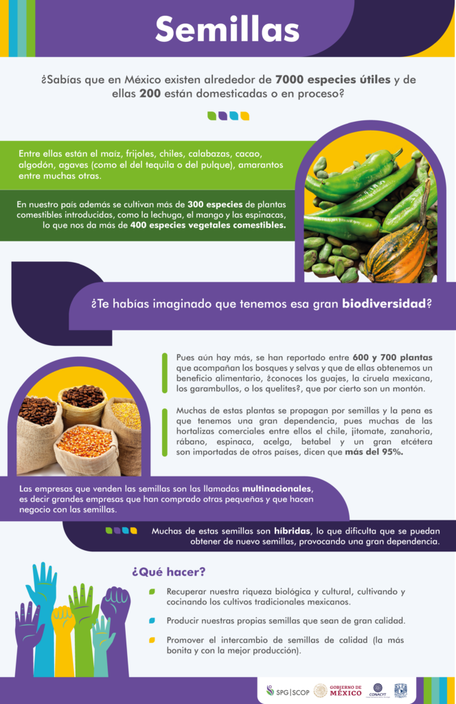Las semillas en México